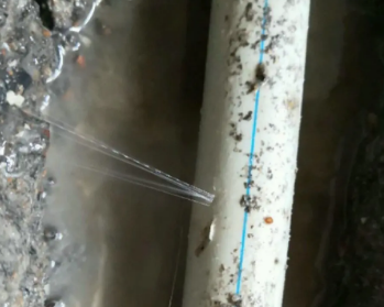琼中卫生间测漏水多少钱