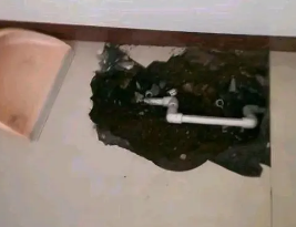 琼中卫生间测漏水多少钱